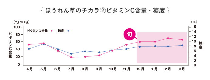 ほうれん草の力2 ビタミンC含量・糖度