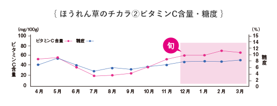 ほうれん草の力2 ビタミンC含量・糖度