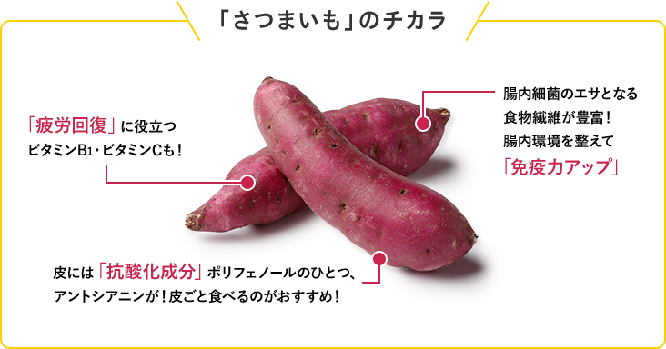 「さつまいも」のチカラ 「疲労回復」に役立つビタミンB1・ビタミンCも！ 皮には「抗酸化成分ポリフェノール」のひとつアントシアニンが！皮ごと食べるのがおすすめ！ 腸内細菌のエサとなる食物繊維が豊富！腸内環境を整えて「免疫力アップ」