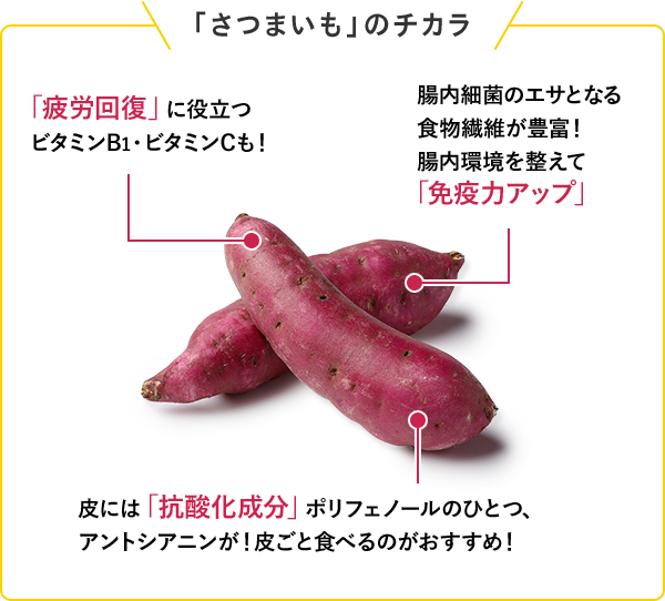 「さつまいも」のチカラ 「疲労回復」に役立つビタミンB1・ビタミンCも！ 皮には「抗酸化成分ポリフェノール」のひとつアントシアニンが！皮ごと食べるのがおすすめ！ 腸内細菌のエサとなる食物繊維が豊富！腸内環境を整えて「免疫力アップ」