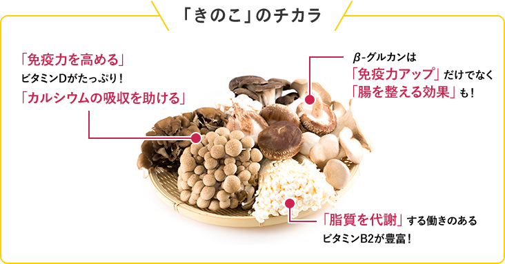 「きのこ」のチカラ 「免疫力を高める」ビタミンDがたっぷり！「カルシウムの吸収を助ける」