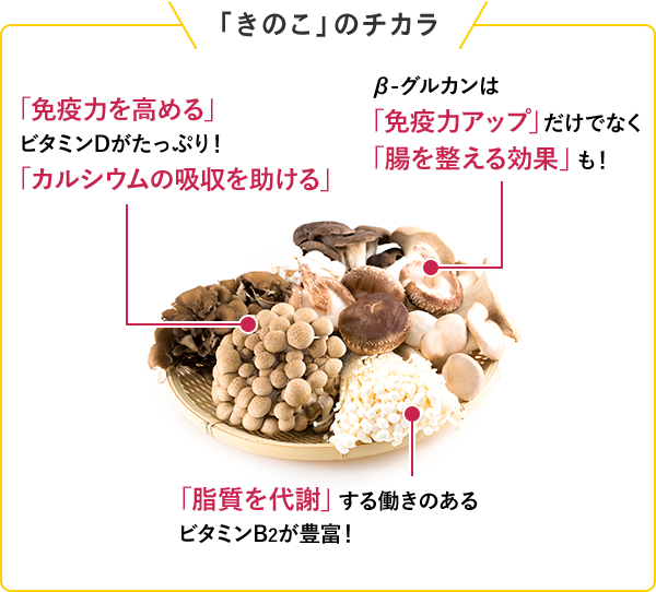 「きのこ」のチカラ 「免疫力を高める」ビタミンDがたっぷり！「カルシウムの吸収を助ける」