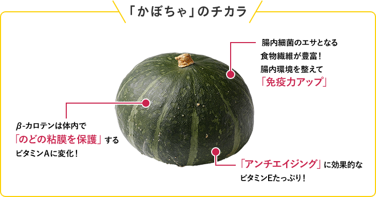 「かぼちゃ」のチカラ β-カロテンは体内で「のどの粘膜を保護」するビタミンＡに変化！ 腸内細菌のエサとなる食物繊維が豊富！腸内環境を整えて「免疫力アップ」 「アンチエイジング」に効果的なビタミンEたっぷり！