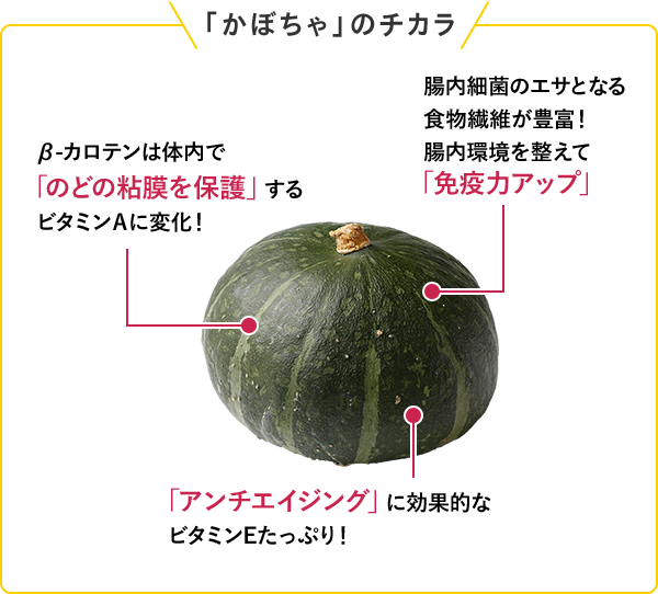 「かぼちゃ」のチカラ β-カロテンは体内で「のどの粘膜を保護」するビタミンＡに変化！ 腸内細菌のエサとなる食物繊維が豊富！腸内環境を整えて「免疫力アップ」 「アンチエイジング」に効果的なビタミンEたっぷり！