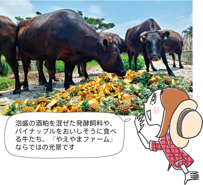 やえやまファームならではの光景