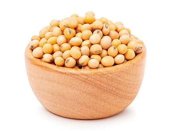 豆類（大豆、ひよこ豆など）