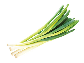 ねぎ