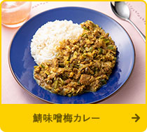 鯖味噌梅カレー