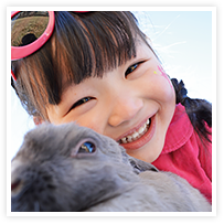 スマイルアルバム