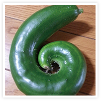 スマイルアルバム