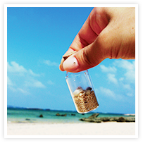 スマイルアルバム