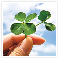 スマイルアルバム