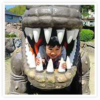 スマイルアルバム