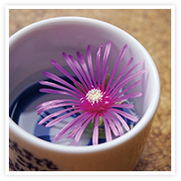 スマイルアルバム