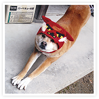 スマイルアルバム