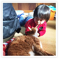 スマイルアルバム