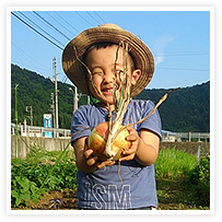 スマイルアルバム