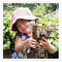 スマイルアルバム